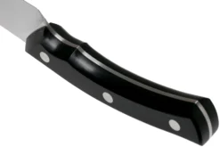 Due Cigni Arne Line Cuchillo Universal 15 Cm, Negro -Yaxell Tienda DG2C902 04 due cigni arne scaled