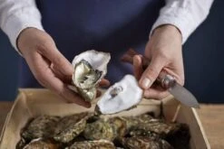 Opinel Cuchillo De Ostras N°09 -Yaxell Tienda OP001616 07 opinel oestermes op001616 08